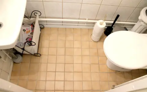 En liten toalett med beige kakelgolv. En tidningskorg står vid handfatet, och en toalettrulle och borste står bredvid toaletten. Kanske dags att måla kakel?