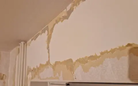 Här ser du hur tapeten flagnar och visar underliggande lager. För att få en slät yta behöver man spackla.