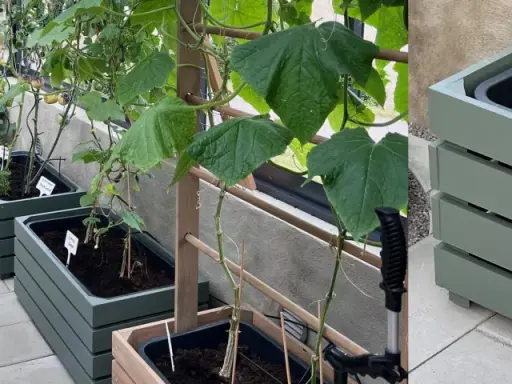 Gröna blomlådor med växter som tomater och gurka. Enkla att bygga och perfekta för balkongen.
