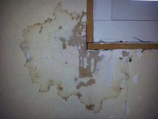 Stor fuktskada på tapeten nära ett fönster. Fläckar och bubblor syns tydligt.
