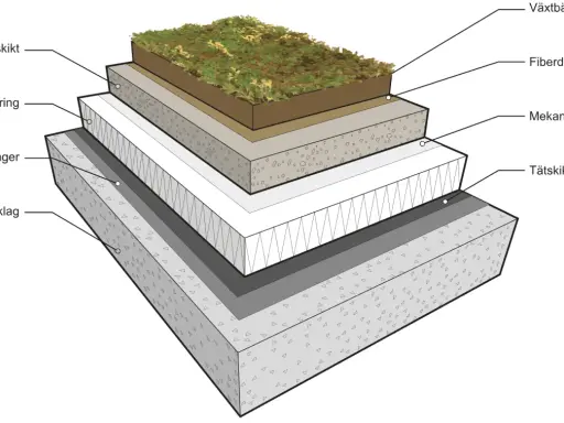 Detaljerad illustration av en sedumtak konstruktion med lager som växtbädd, fiberduk, isolering och tätskikt.