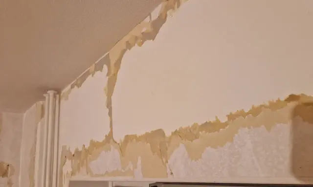 Här ser du hur tapeten flagnar och visar underliggande lager. För att få en slät yta behöver man spackla.