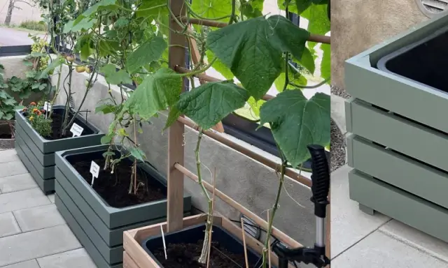 Gröna blomlådor med växter som tomater och gurka. Enkla att bygga och perfekta för balkongen.