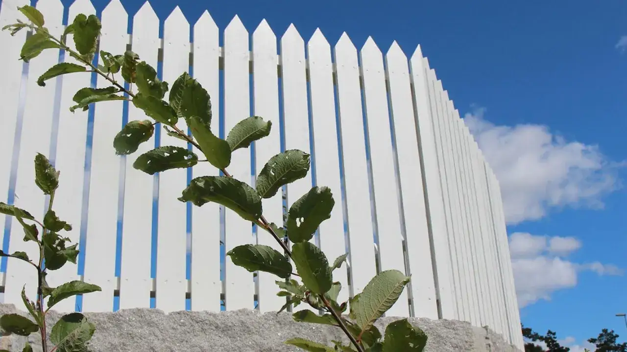 Nyligen målat staket i vitt mot en blå himmel med moln. Gröna grenar med blad växer framför staketet.